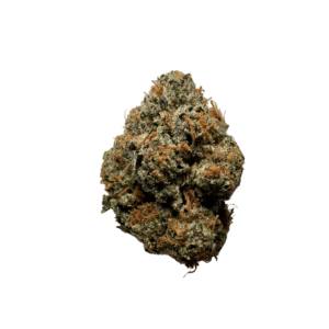 Stardawg